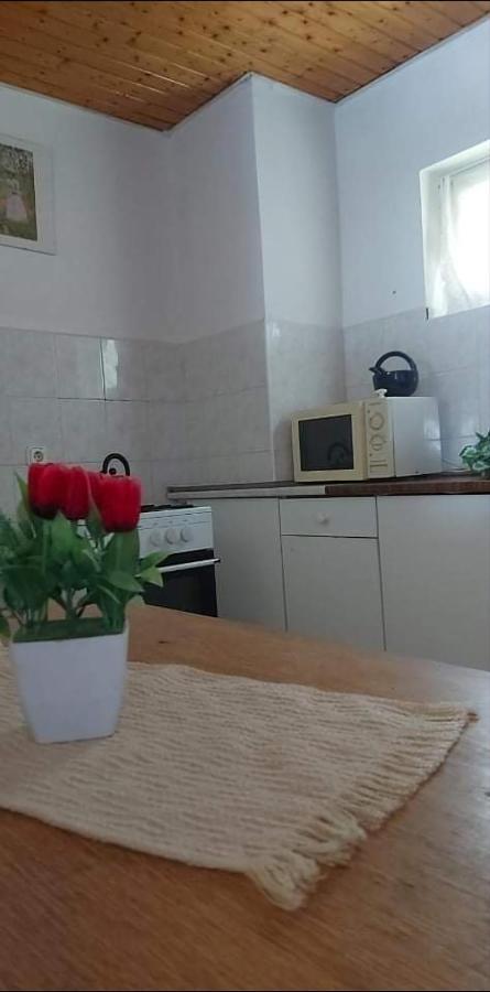 Kekturas-Tora Nyilo Badacsonyi Privat Berlemeny Apartment Бадачонтомай Екстериор снимка